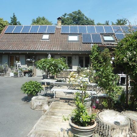Passe-Partout Oedelem Exteriör bild